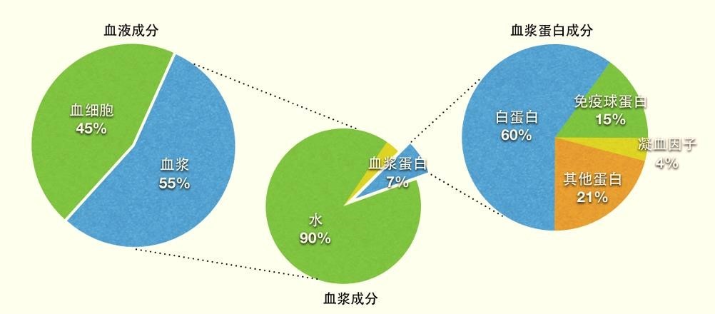 血液,血浆及血浆蛋白构成示意图