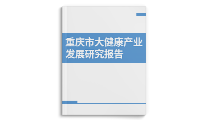 重庆市大健康产业发展研究报告-药智报告