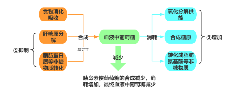 據統計,我國糖尿病發病率已超過10%,且這一數字還在不斷增長,糖尿病可