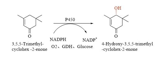 a15ada8d1eabb5be9538e8881f3e5dce.jpg