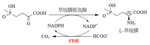 微信图片_2026-06-10_172044_969.png
