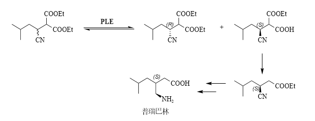 微信图片_2026-03-25_171012_690.png