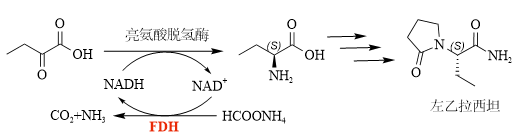 微信图片_2026-06-10_172040_432.png