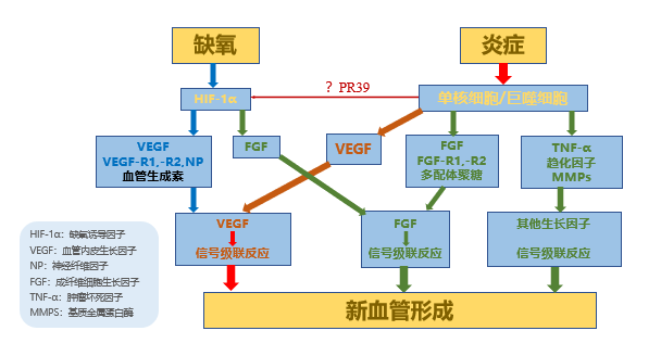 微信图片_20230625103314.png